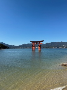 13529C9F-8EE3-43C8-90A7-20ECC0167E01